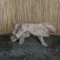 morepic-6